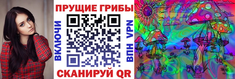 Псилоцибиновые грибы Psilocybine cubensis  Луга 